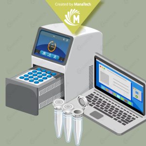 تفسیر مفاهیم تکثیری در Real-time PCR