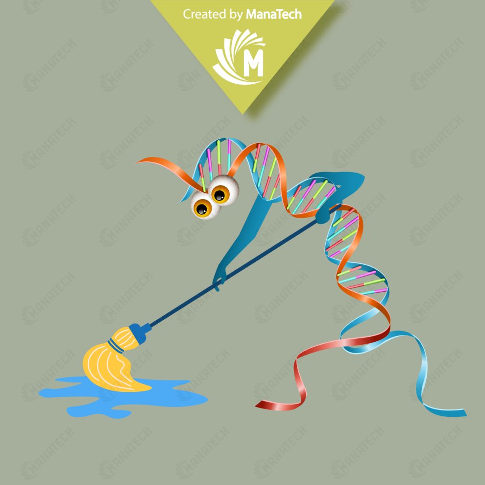 مانا تکخرید دستگاه ریل تایمPCRفیمت دستگاه ریل تایمدستگاه RealTimePCR