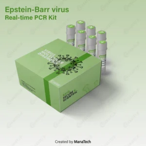 كيت ريل تايم Epstein-Barr virus(EBV)