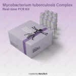 کیت ریل تایم مایکوباکتریوم Mycobacterium tuberculosis Complex