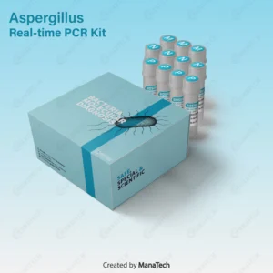 کیت ریل تایم Actinomyces