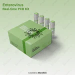 کیت ریل تایم Enterovirus