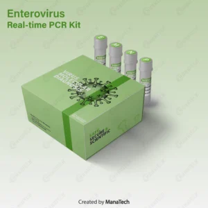 کیت ریل تایم Enterovirus