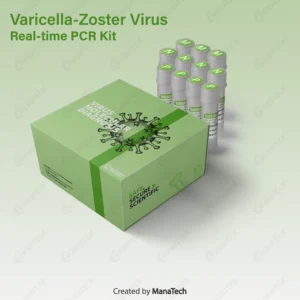 کیت ریل تایم Varicella-Zoster Virus