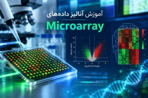 دوره آموزش آنالیز داده های Microarray
