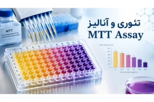 دوره آموزش تئوری، پروتکل آزمایشگاهی و آنالیز داده های MTT Assay