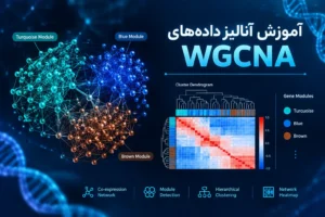دوره آموزش WGCNA