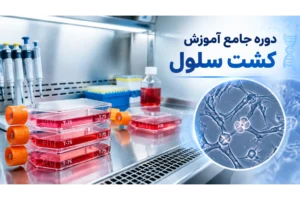 دوره آموزش کشت سلول (Cell Culture)
