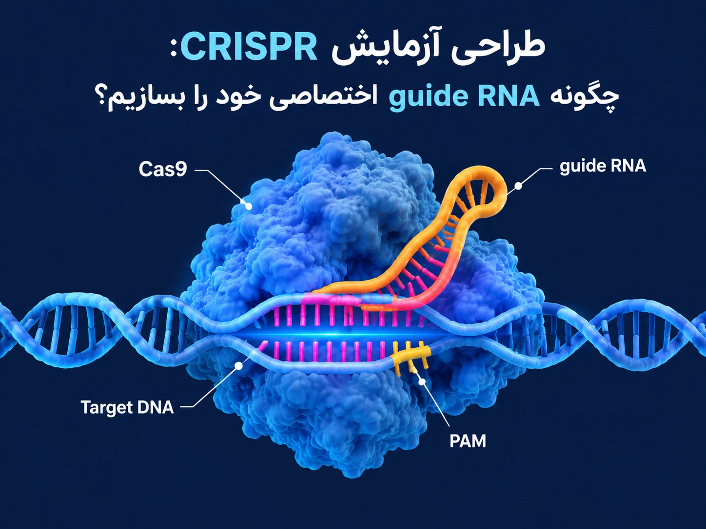 طراحی آزمایش CRISPR چگونه guide RNA اختصاصی خود را بسازیم؟